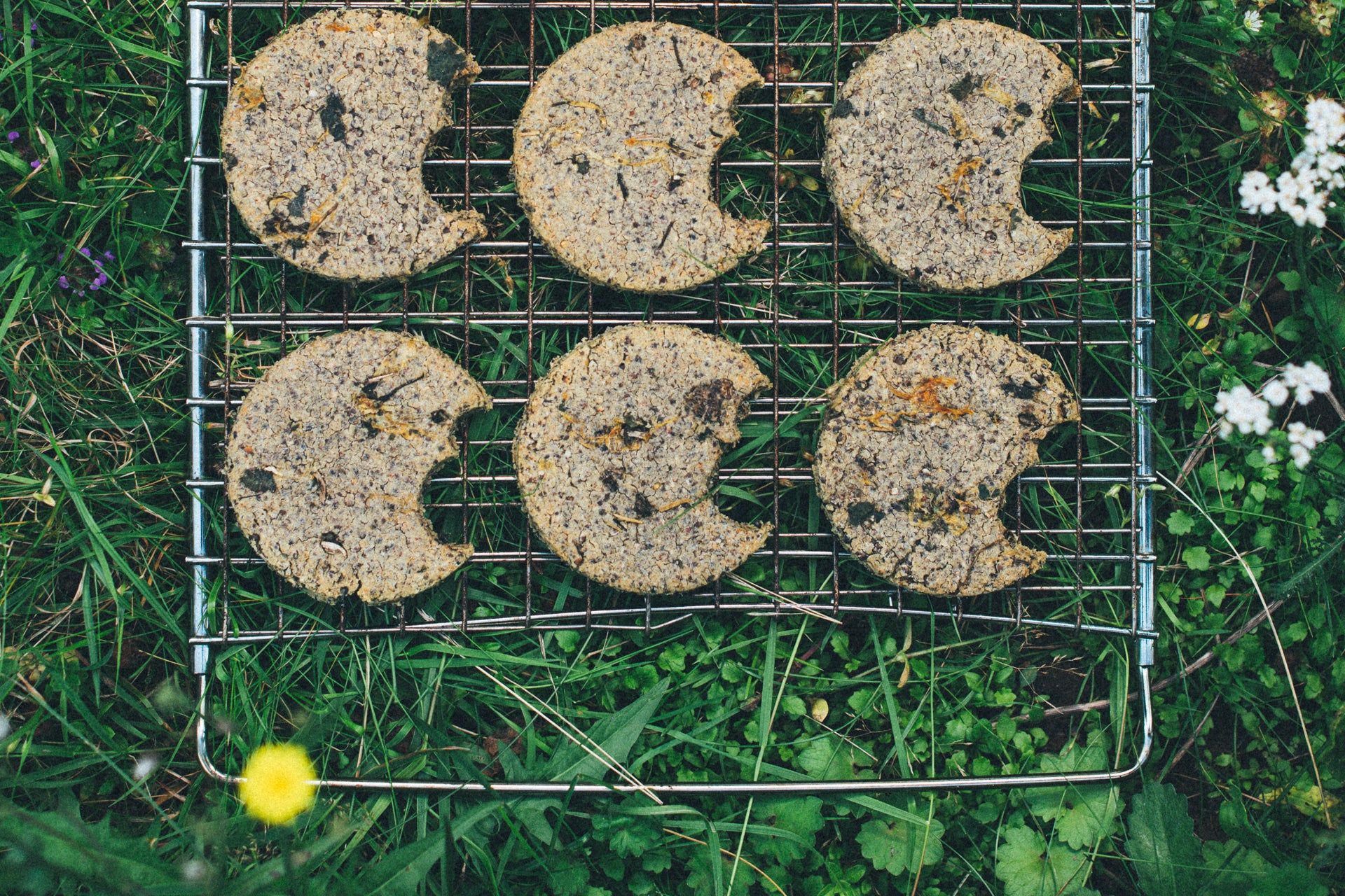 Tony en Lu vegan hondenkoekjes